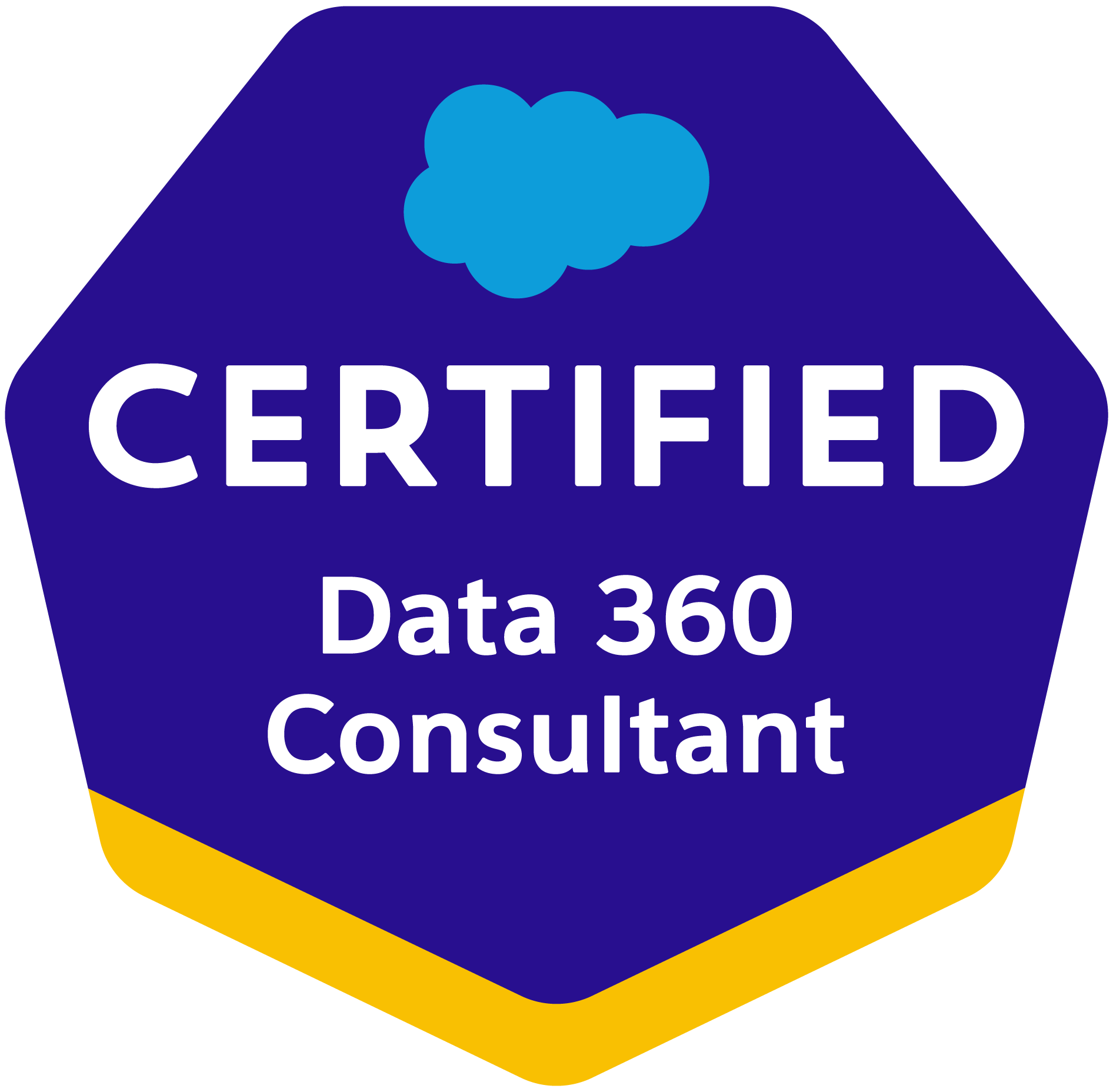 Certified Data 360 Consultant